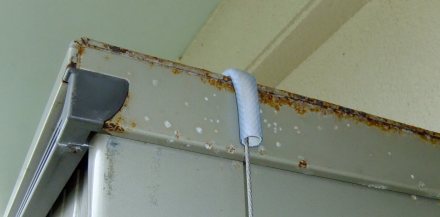 ワイヤーを物置の上に這わす