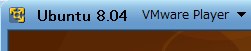 Ubuntu 8.04 on VMware